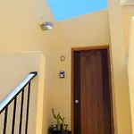 Aurora *