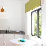 Aurora Lagos